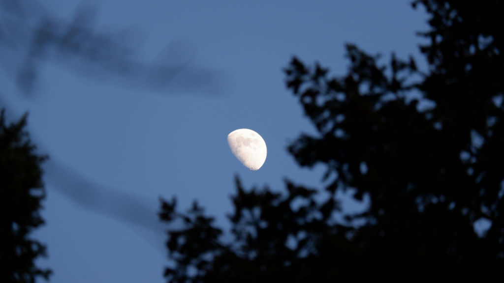 すぐに試せる！眠れない夜の“快眠ルーティン”7選