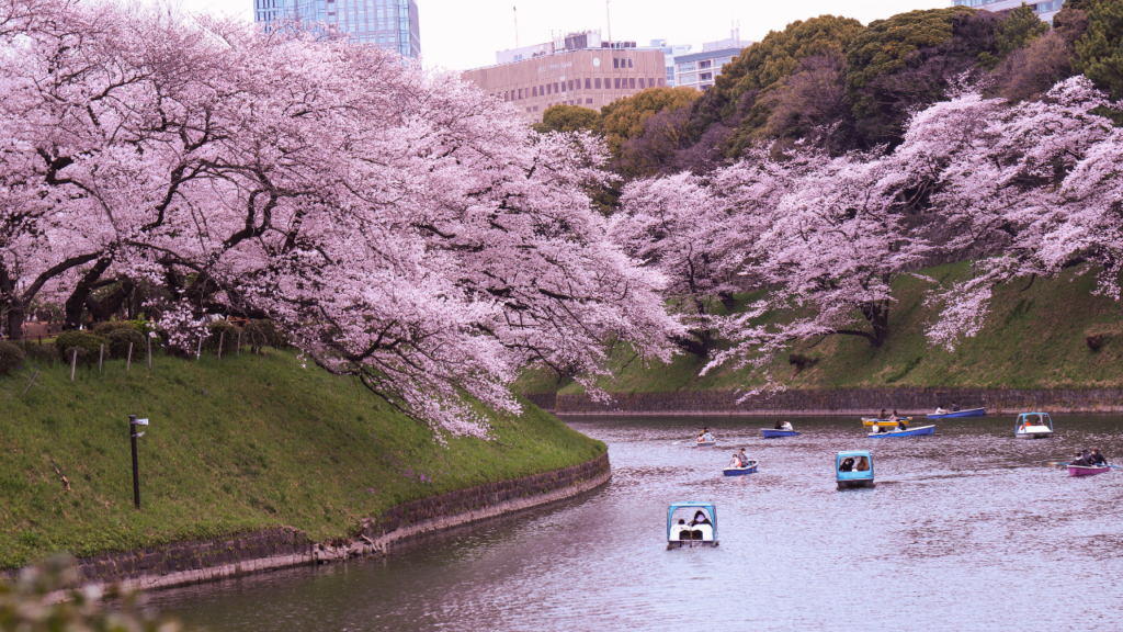観光客が驚く！“日本ならでは”の風景・習慣