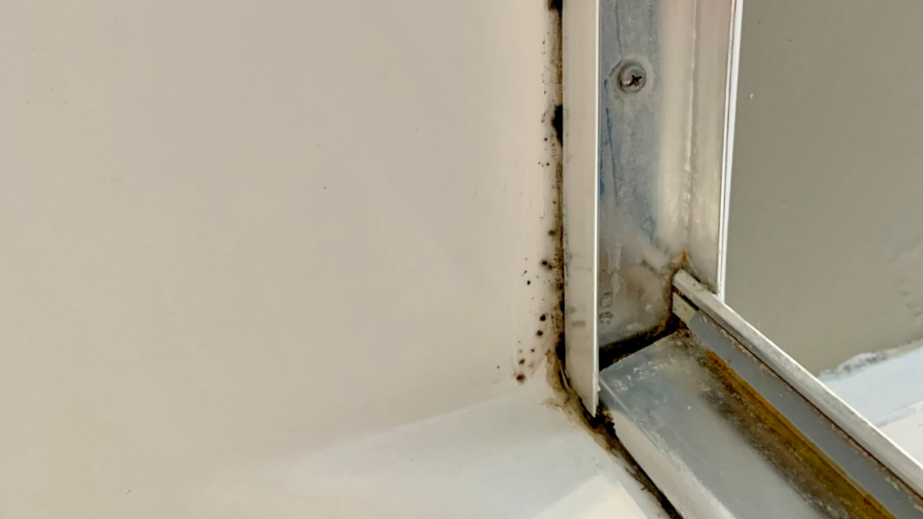 カビの正体と「落ちにくい理由」を理解しよう