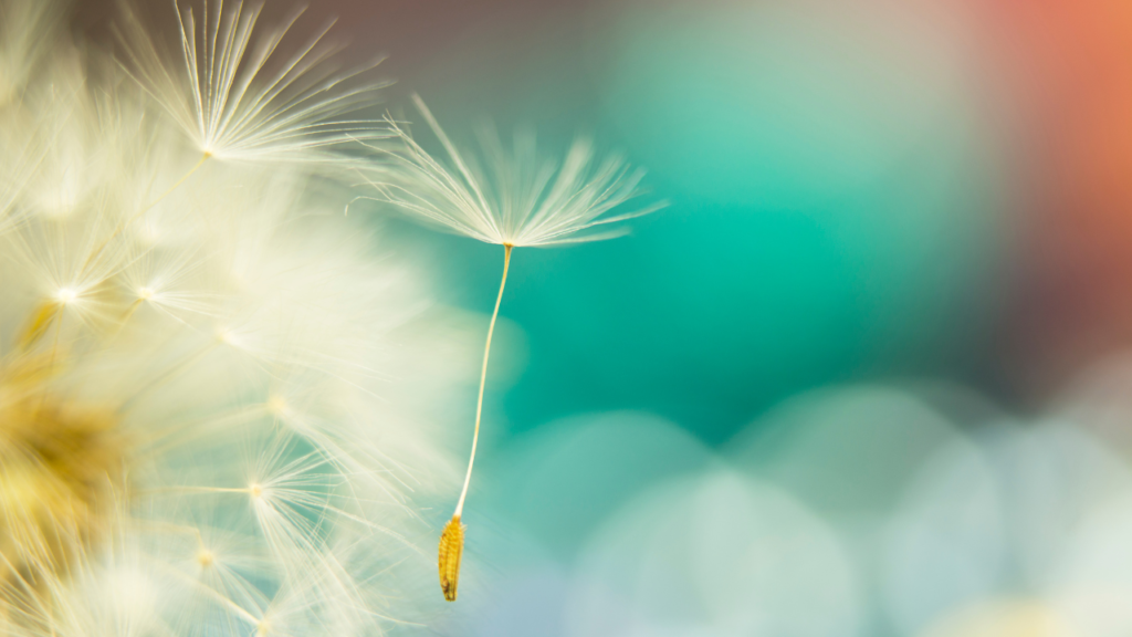 人生・幸福・自分らしさの名言・格言｜心を軽くする生き方のヒント