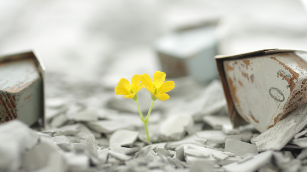 まとめ｜“一人の備え”が“生きる力”になる