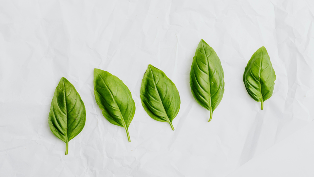 特に注目すべき“背景に社会的意味を持つ言葉”5選