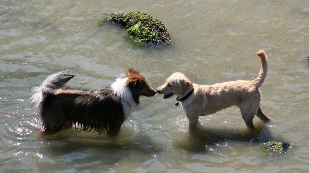【実践編】第一印象を良くするためのトレーニング法