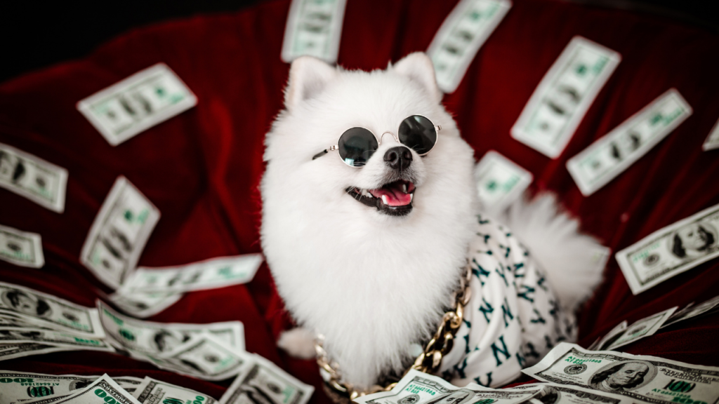 世界の“お金の価値観”から学ぶ人生のヒント