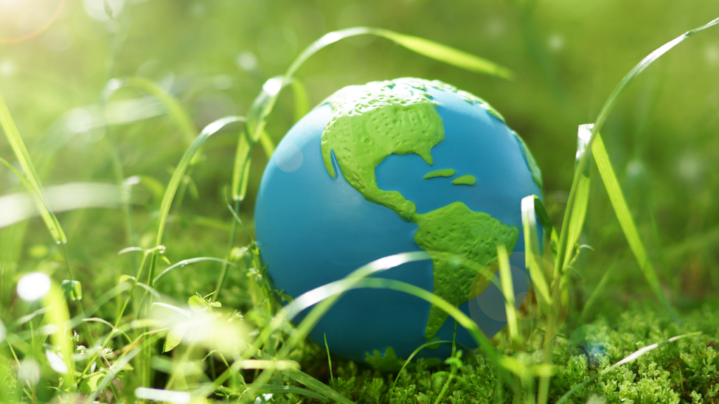 ✅ 最終まとめ｜雑学は“世界を広げる小さなスパイス”