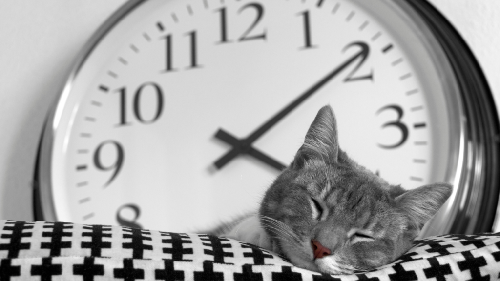 “食後に眠くならない”ための生活習慣改善