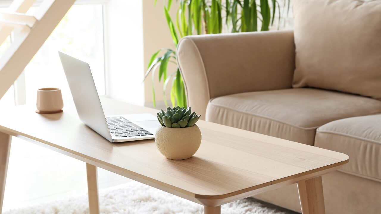 観葉植物で癒し空間を！育てやすい室内用の種類10選【初心者にもおすすめ】