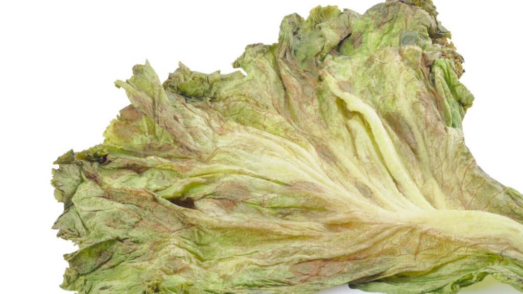 しなびた野菜って生で食べられる？腐敗との違いやNGサインを徹底解説！