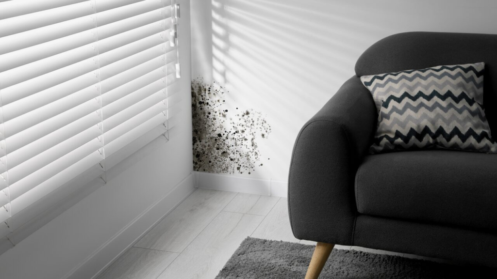 【春のカビ対策】気温上昇に備える！今すぐ始めたい掃除術＆予防法まとめ