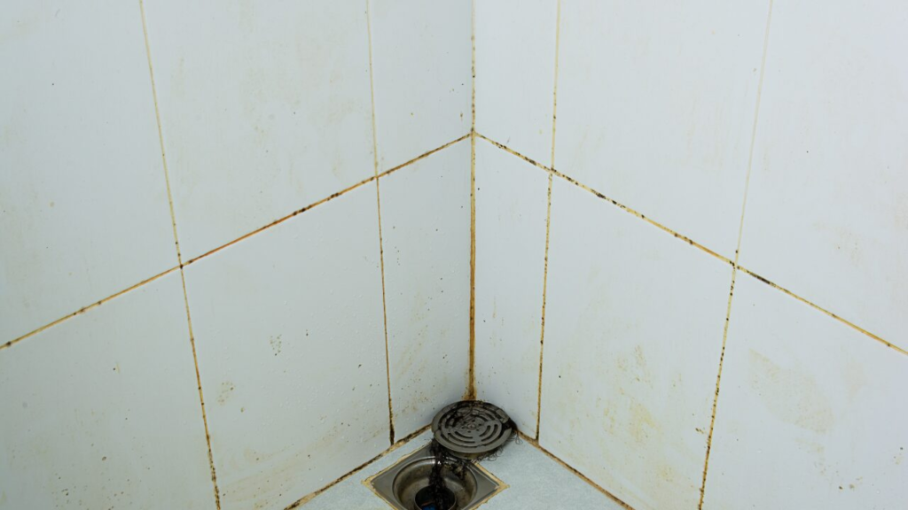 お風呂のカビを徹底除去！簡単にできる取り方と予防法を徹底解説