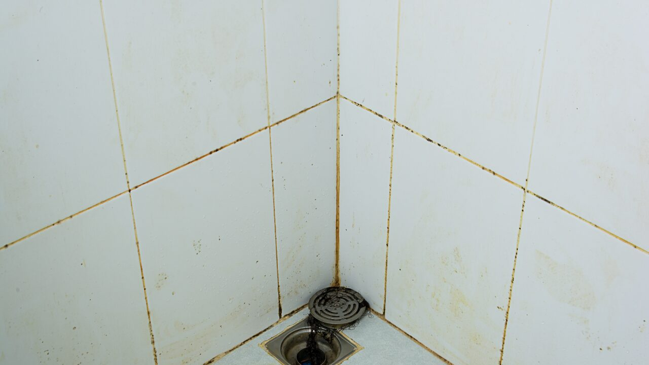 お風呂のカビを徹底除去！簡単にできる取り方と予防法を徹底解説