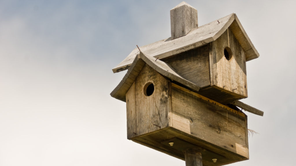 まとめ｜小鳥の訪問には理由がある。自然と共存する視点を