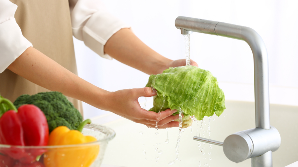 レタスがしゃきしゃきに戻る！水につけると復活する仕組み