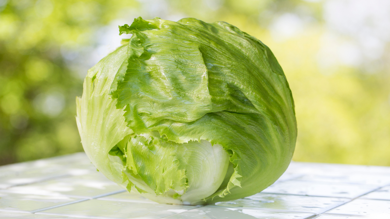 レタスを水につけるとしゃきしゃきに戻る理由とは？科学的な仕組みと復活テクを解説！