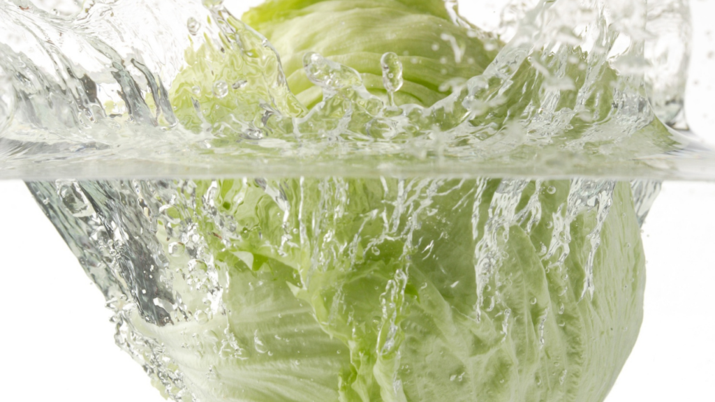 逆効果にならない？レタスを水につけるときの注意点