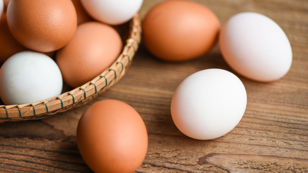 卵の殻が白い・茶色い理由とは？｜色の違いは鶏の種類で決まるって本当？【見分け方・栄養の差も解説】