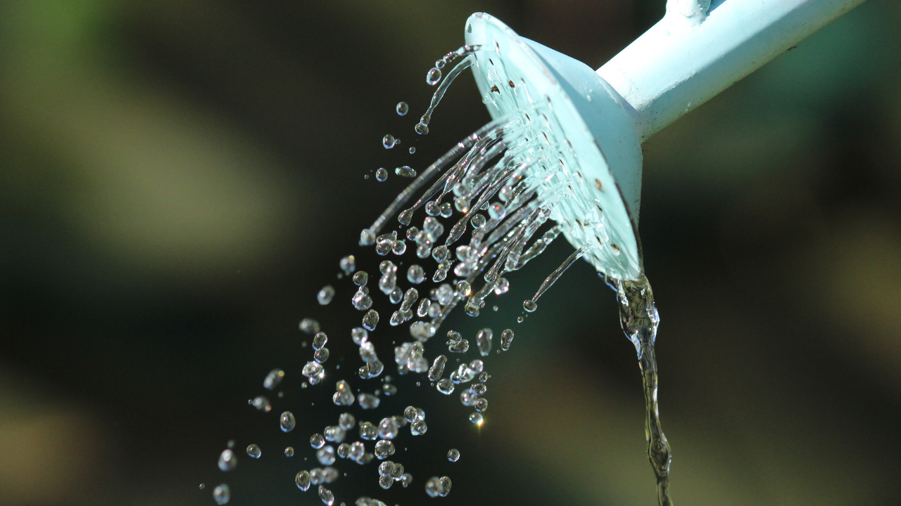 打ち水で何度下がる?涼しくなる科学的な理由と効果的なやり方を解説!