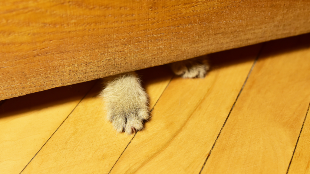 どうしてドアの下“だけ”に隙間があるの？