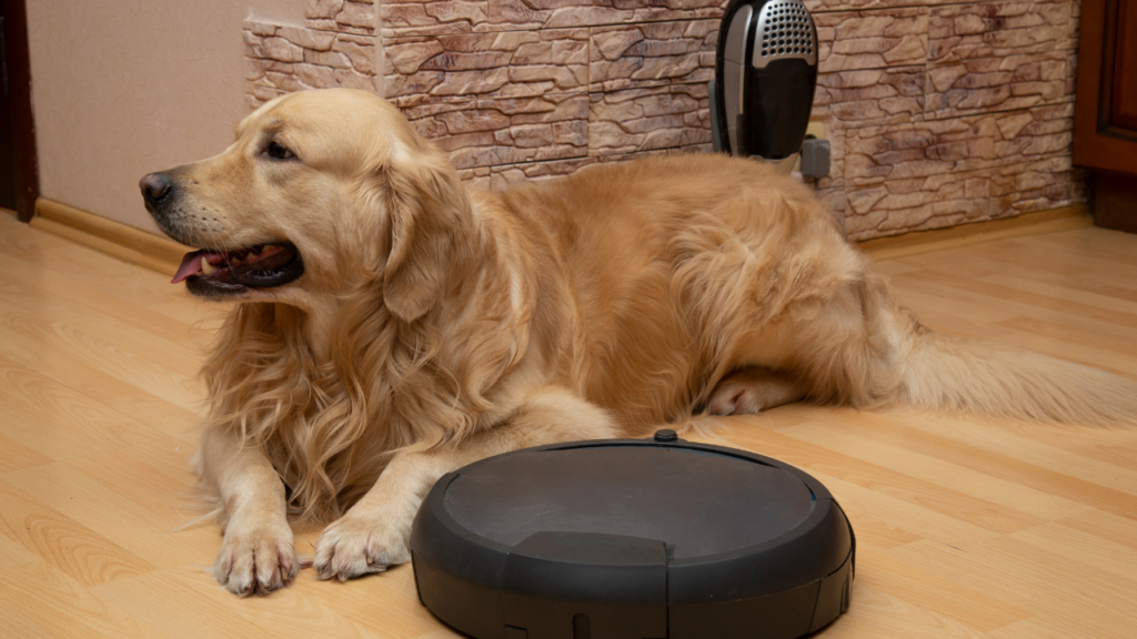 ✅ 掃除ロボットのコラム