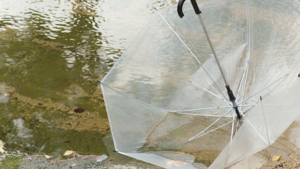 さらに快適に!傘の扱いストレスを減らすコツ