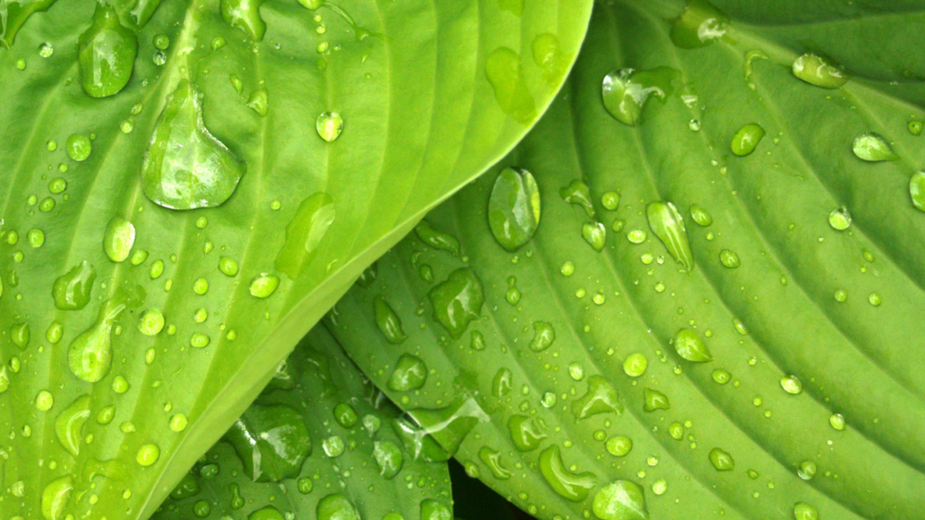 実は“錯覚”？私たちの目と脳が見せるトリック