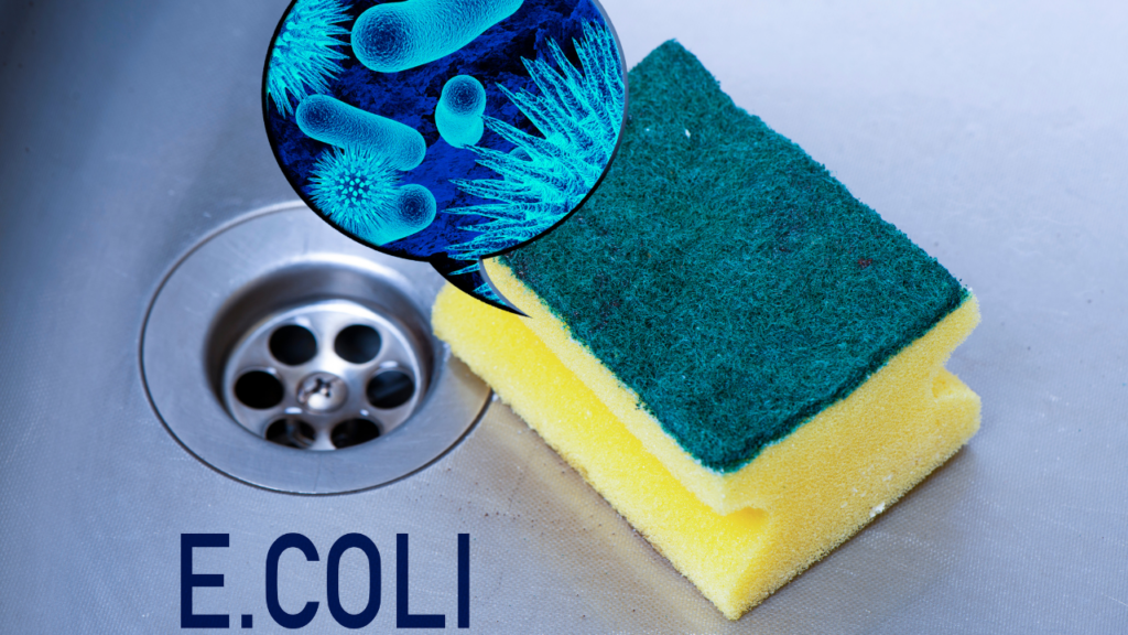 まとめ｜“見えない菌”と向き合う、新しいキッチン習慣を