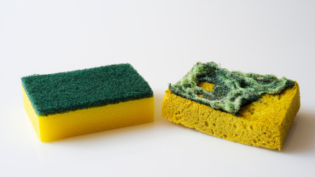 毎日交換した方がいい？プロが教える“衛生的なスポンジ管理”の基準