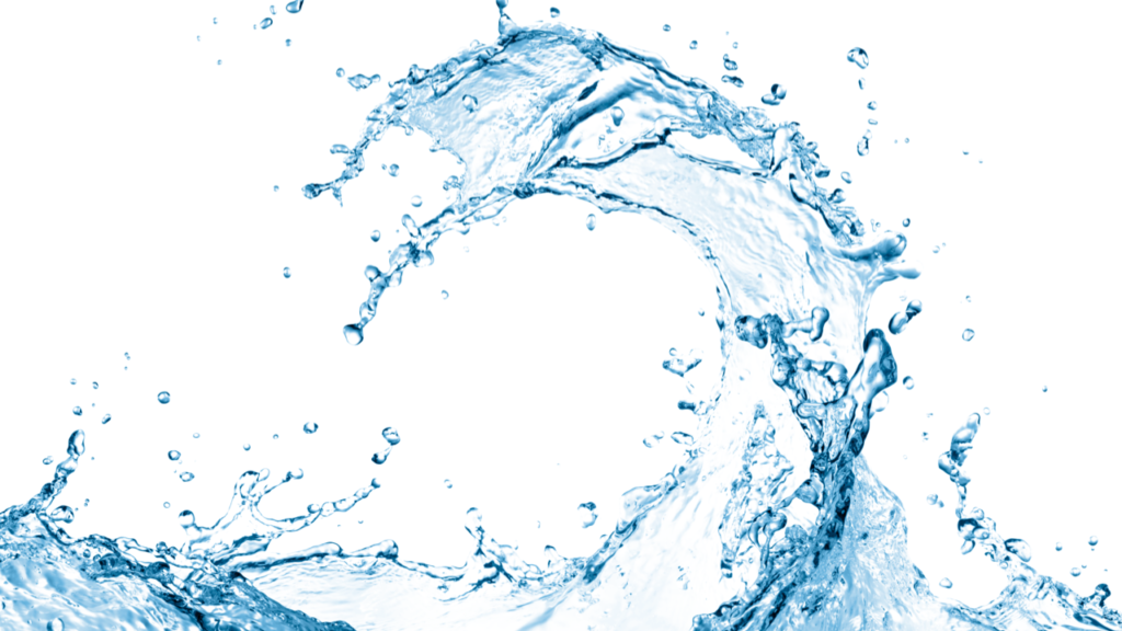 葉っぱ以外にもある！自然界のキラキラ現象