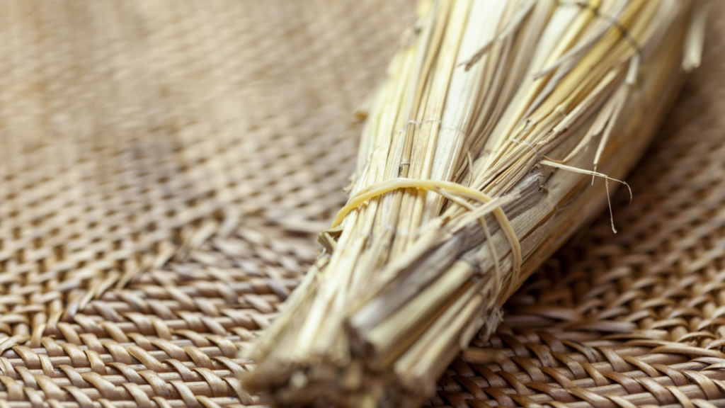 ネバネバを守る！納豆の正しい冷凍＆解凍方法