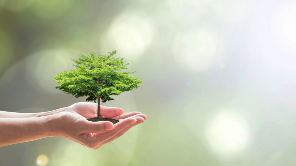 Q&Aコーナー｜木と酸素に関するよくある疑問