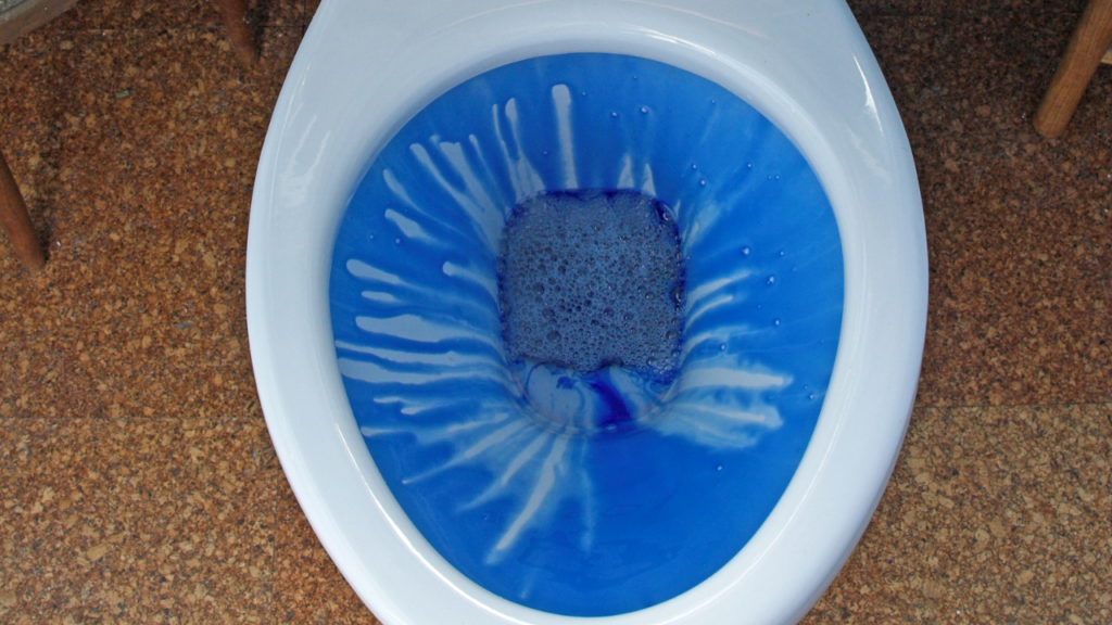 まとめ｜青い水で、見えない清潔感と安心感をプラス！