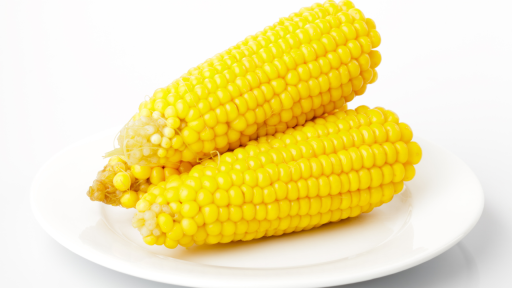 とうもろこしをもっと美味しく！保存・選び方のコツ