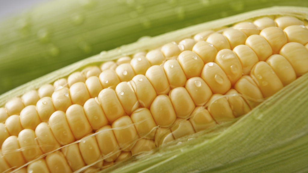 外側の皮はNG？使うべき“何枚目”かを見極める