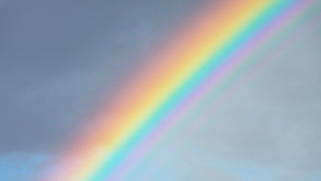 虹の色、いくつ見える?|見え方が人によって違う意外な理由