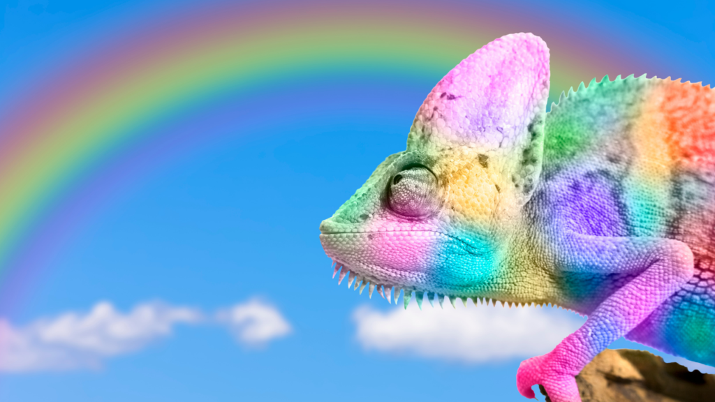 知っておきたい｜色の知覚と文化の違い