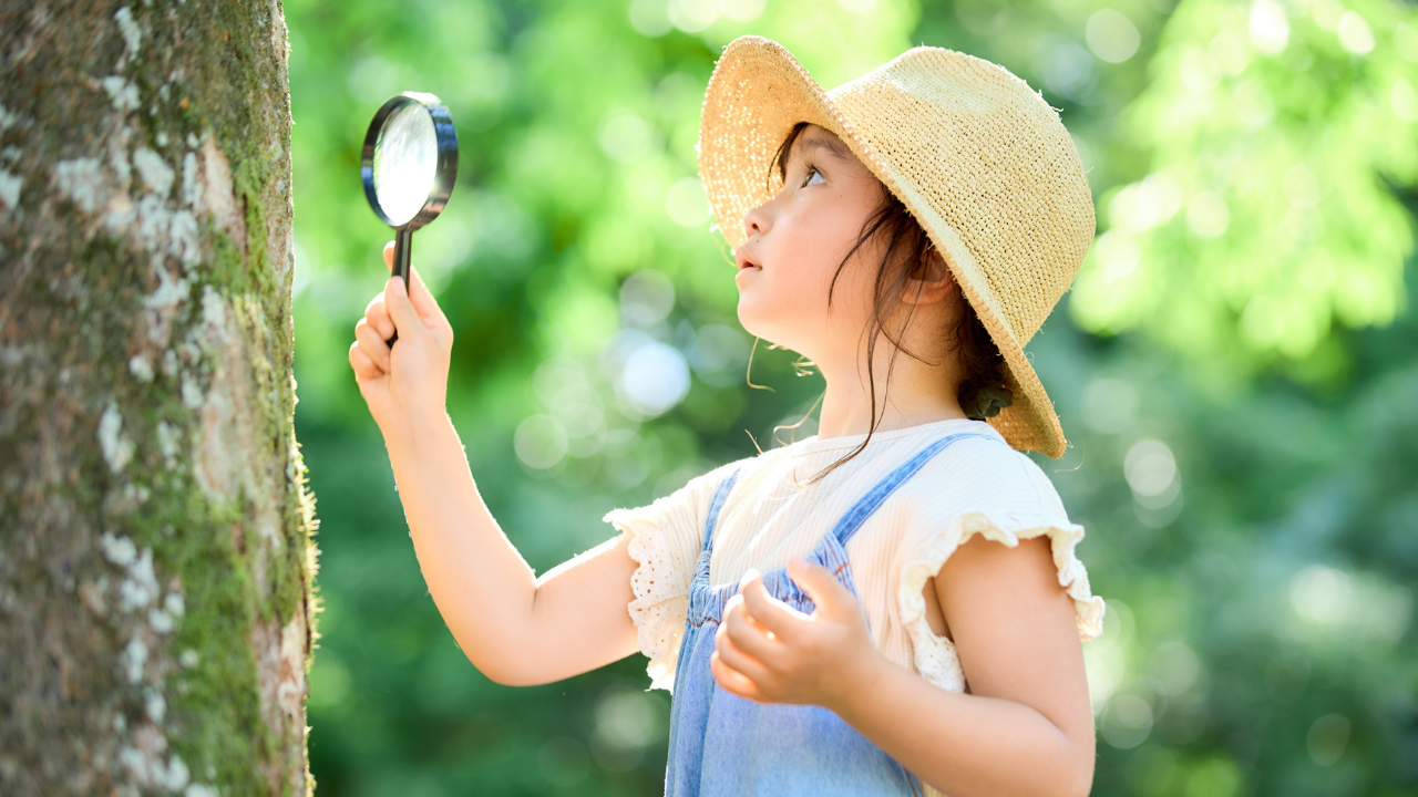 日常生活に役立つ意外な豆知識10選｜今日から試せる“ちょっと得する”暮らしの知恵