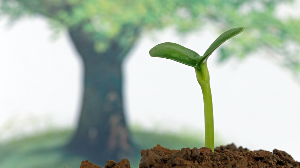 無理なく続けるためのコツ