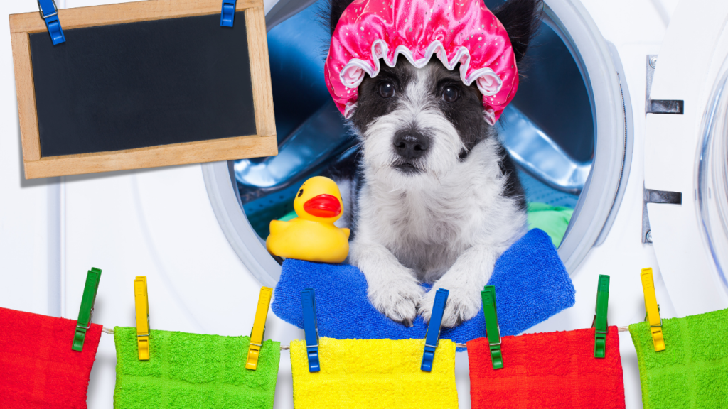 クイズ⑥〜⑩｜掃除・洗濯・片付けの雑学