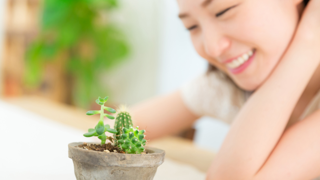 まとめ｜“整える暮らし”が健康的な毎日をつくる