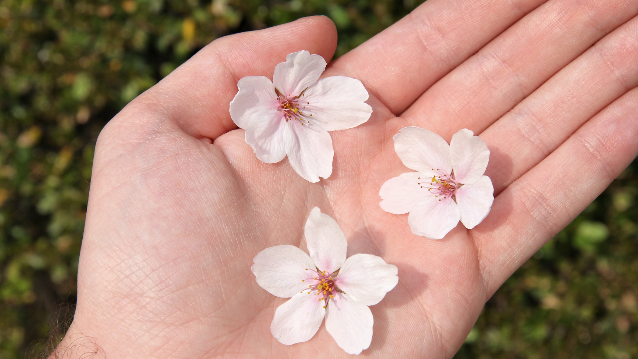 お金をかけない暮らしを楽しむための工夫